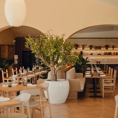 Aethos Hotel Sardinia-2
